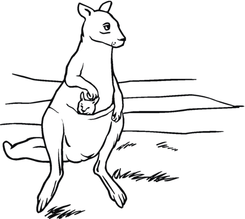 Mother kangaroo with baby in pouch Coloring page