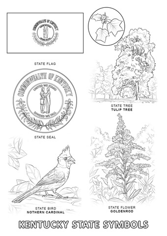 Kentucky State Symbols Coloring page