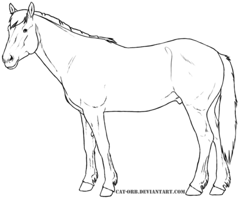 Kiger Mustang Coloring page