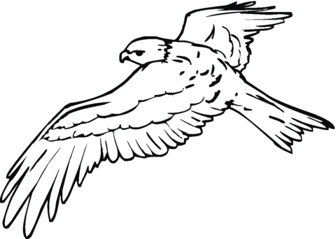 Kite 4 Coloring page