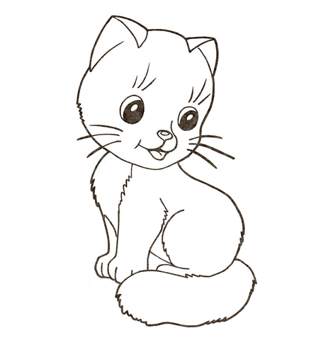 Kitten at school Coloring page