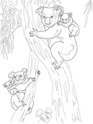 Koala Moms with Babies Coloring page