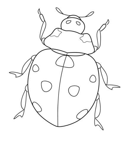 Ladybug Coloring page