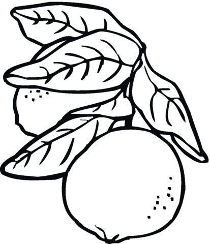 Lemon 8 Coloring page