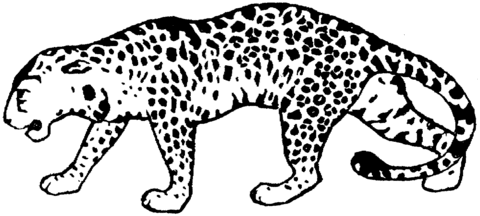 Leopard 17 Coloring page