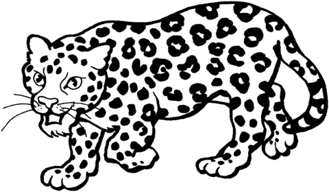 Leopard 3 Coloring page