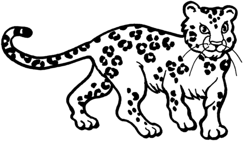 Leopard 4 Coloring page