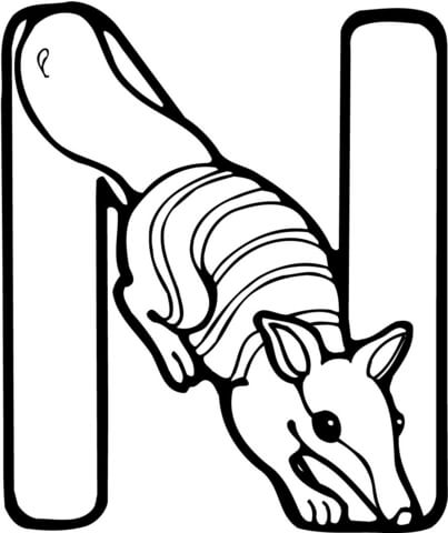 Letter N is for Numbat Coloring page