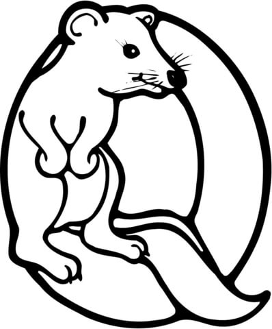 Letter Q is for Quokka Coloring page