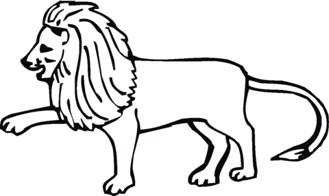 Lion 10 Coloring page