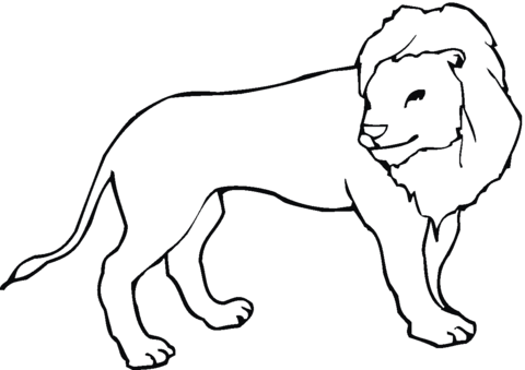 Lion 15 Coloring page