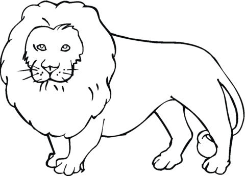 Lion 22 Coloring page