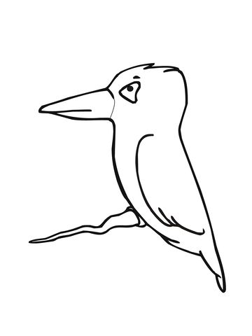 Little Cute Kingfisher Coloring page