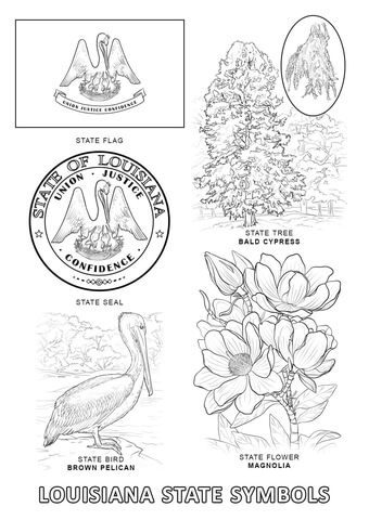 Louisiana State Symbols Coloring page