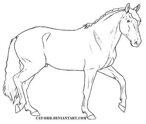 Lusitano horse Coloring page