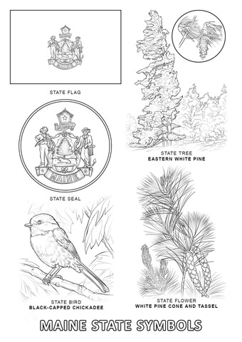 Maine State Symbols Coloring page