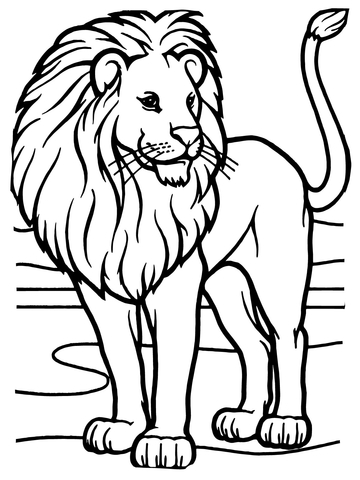 Male African Lion Coloring page