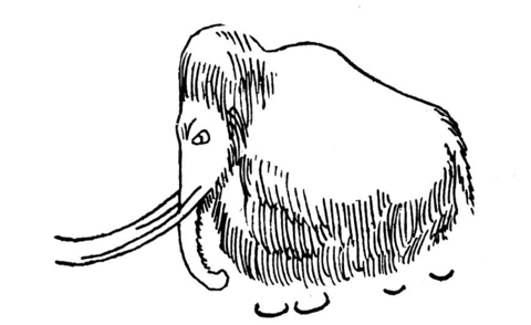 Mammoth 13 Coloring page