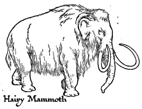 Hairy Mammoth Coloring page