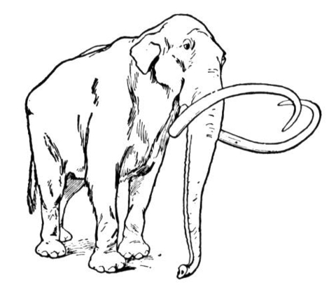 Wooly Mammoth Coloring page