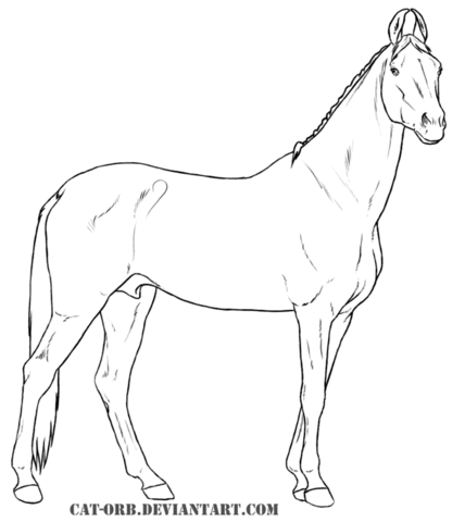 Marwari Coloring page