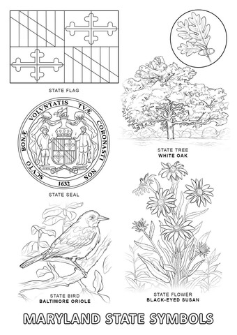 Maryland State Symbols Coloring page