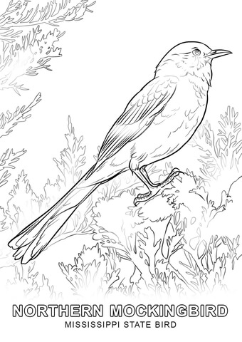 Mississippi State Bird Coloring page