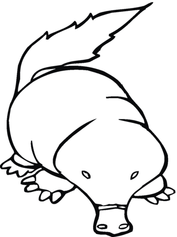 Mole 17 Coloring page