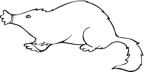 Mole 18 Coloring page