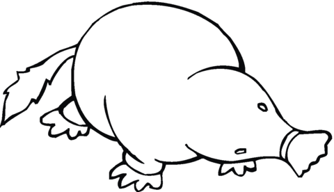 Mole 19 Coloring page