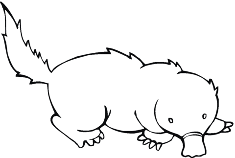 Mole 20 Coloring page