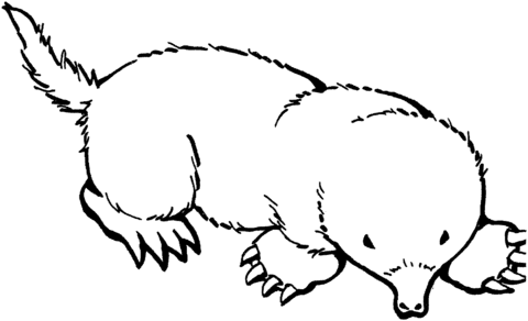 Mole 3 Coloring page