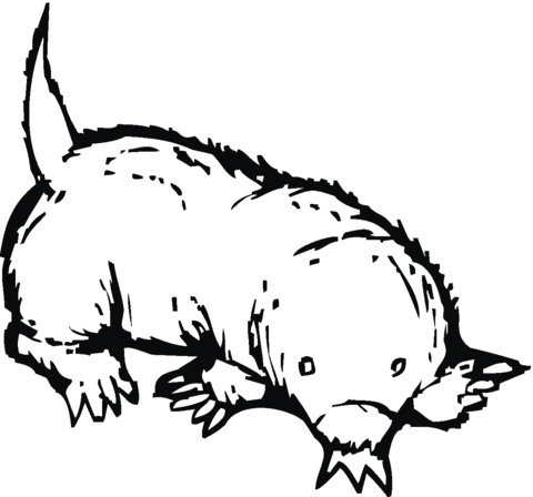 Mole 5 Coloring page