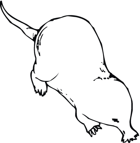 Mole 7 Coloring page