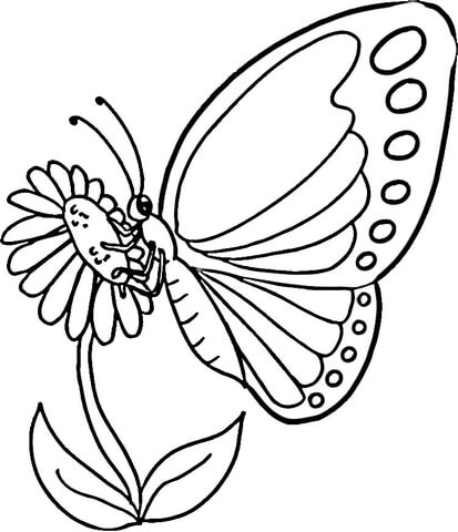 Monarch Butterfly Coloring page