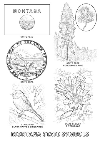 Montana State Symbols Coloring page