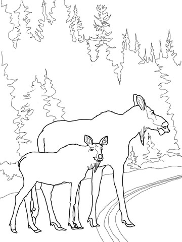 Moose Cow with Calf Crossing the Road Coloring page