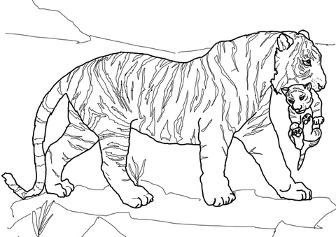 Mother Tiger Carrying Cub Coloring page