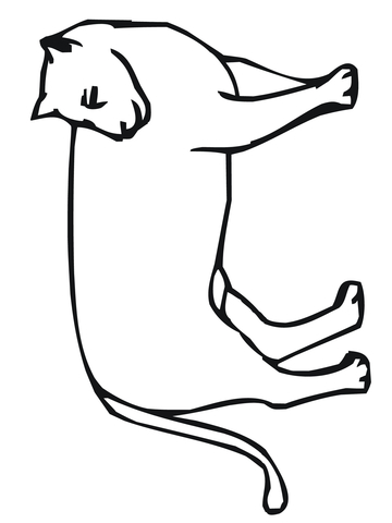 Mountain Lion Looks Back Coloring page