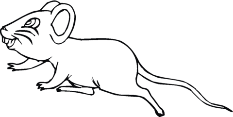 Mouse 10 Coloring page