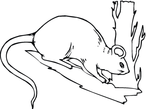 Mouse 18 Coloring page