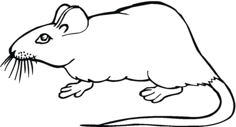 Mouse 20 Coloring page