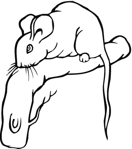 Mouse Stands On Branch Coloring page