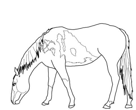 Grazing Mustang Coloring page