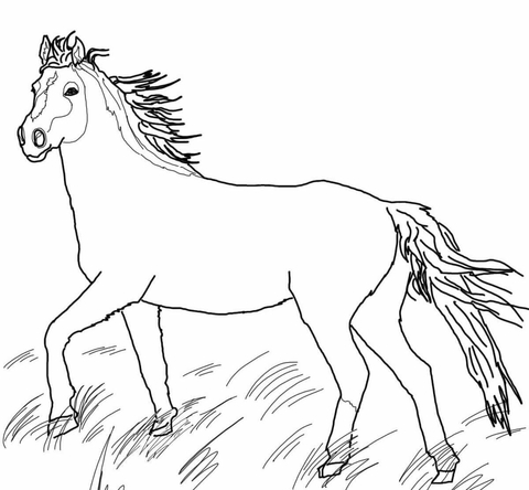 Mustang Wild Horse Coloring page