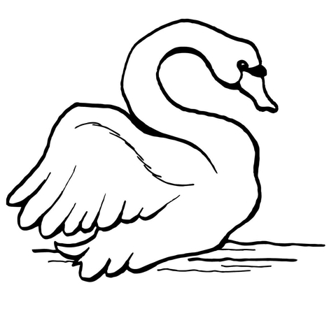 Mute Swan Coloring page