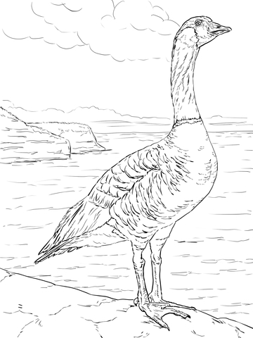 Nene Goose Coloring page