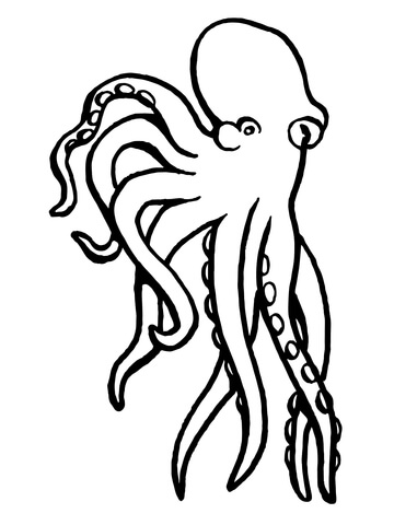 Octopus Mollusc Coloring page