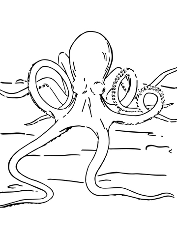 Octopus on a Bottom Line Coloring page