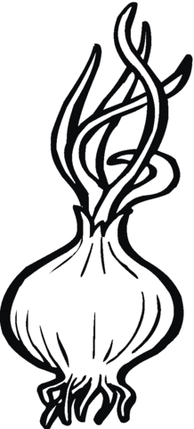 Onion 7 Coloring page